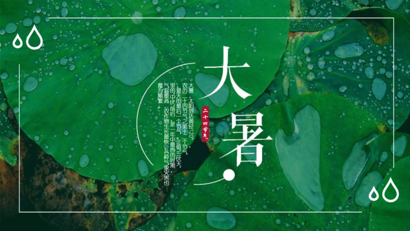 绿色荷叶大暑节气通用PPT模板