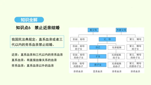 7.2.3基因的显性和隐性课件-人教版生物八年级下册(共31张PPT)