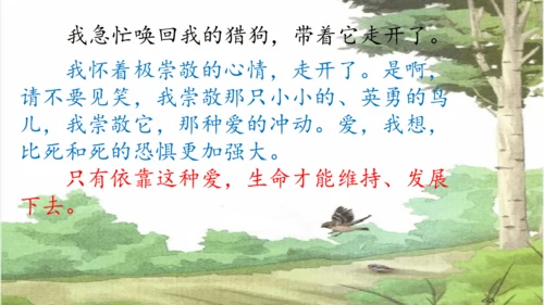 第16课《麻雀》课件