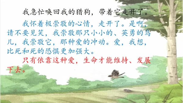 第16课《麻雀》课件
