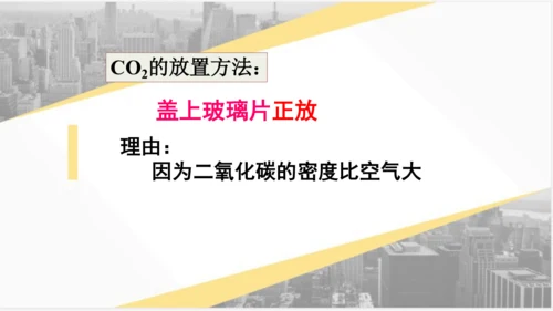 6.2 二氧化碳制取的研究课件(共31张PPT)---2023-2024学年九年级化学人教版上册