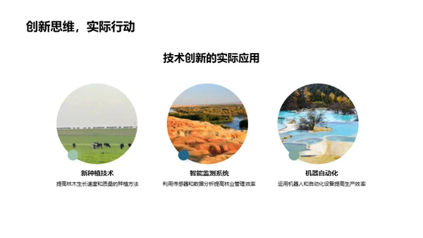 林业进步路