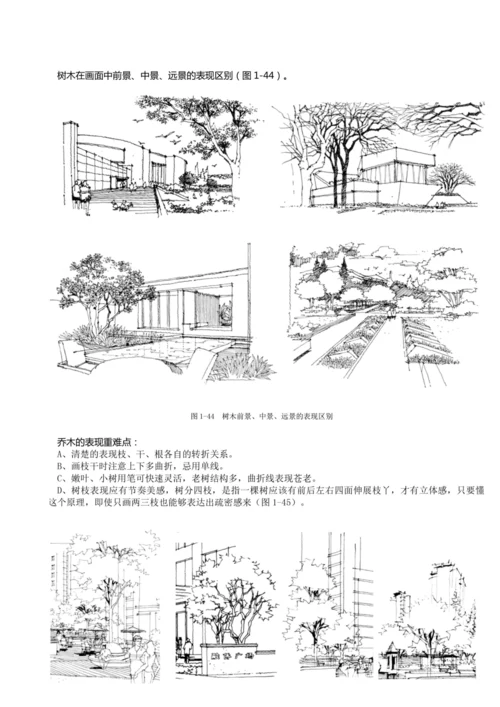 风景园林植物手绘技法.docx