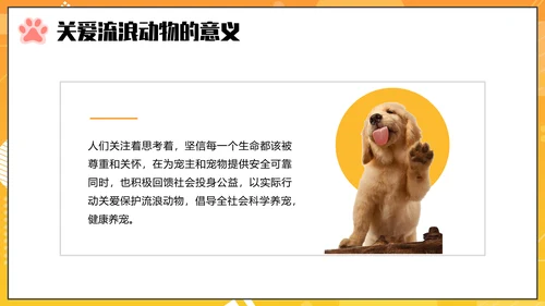 关爱流浪动物PPT模板