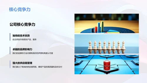 公司总结报告