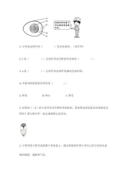 教科版三年级下册科学期末测试卷精品【基础题】.docx