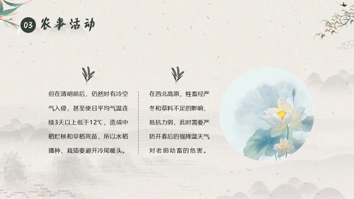 清明节知识清明节气清明扫墓清明习俗清明养生PPT