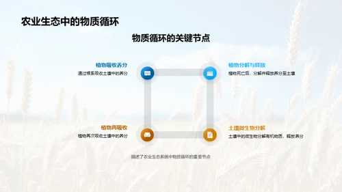 农业生态系统探究