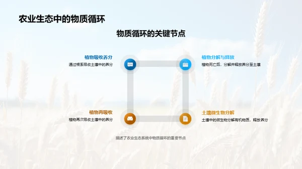 农业生态系统探究