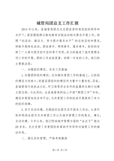 城管局团总支工作汇报.docx