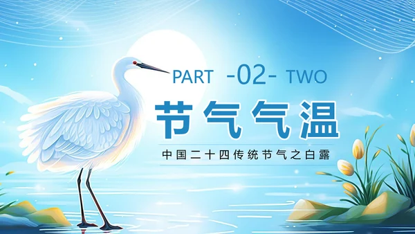 美丽的梦幻传统节气白露PPT模板