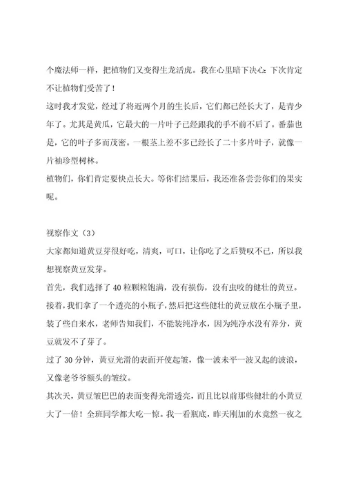 观察作文（精选6篇）作文
