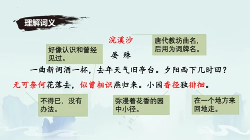 八年级语文上册第六单元课外古诗词诵读《浣溪沙（一曲新词酒一杯）》课件