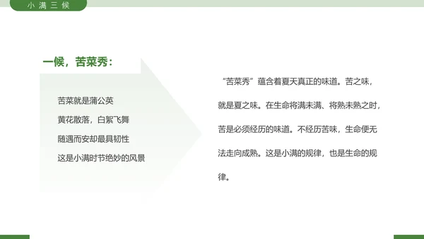二十四节气之小满节气介绍