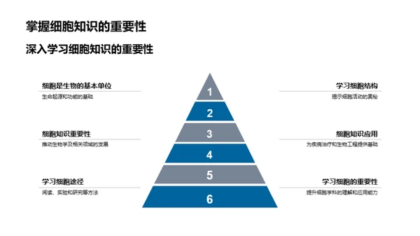 细胞生命之谜