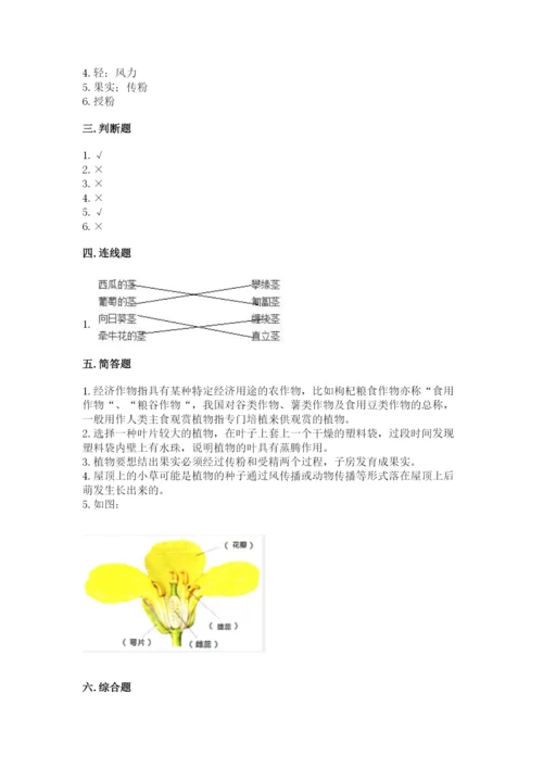 科学四年级下册第一单元《植物的生长变化》测试卷精品【有一套】.docx