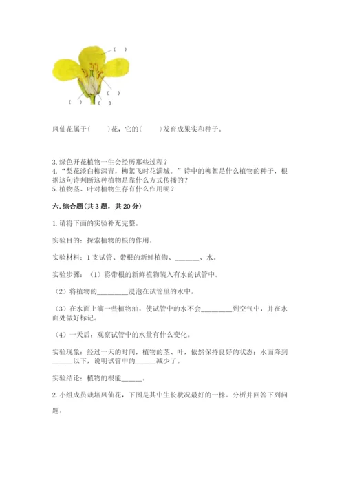 科学四年级下册第一单元《植物的生长变化》测试卷【考点精练】.docx