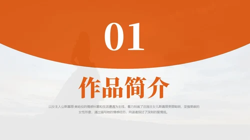 实拍风橙色飘不走的梦和人《飘》读书分享PPT课件