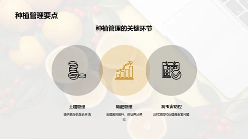 柑橘质量全链条提升