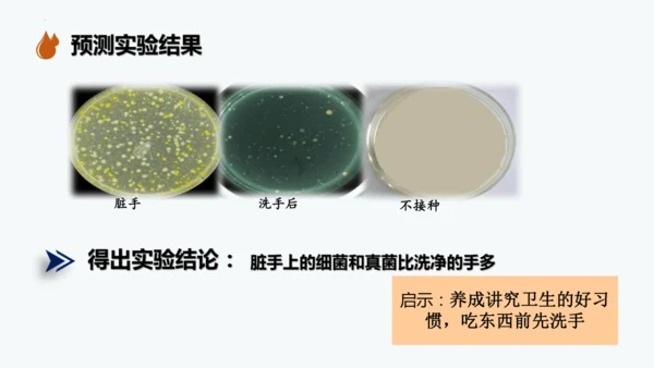 人教版生物七年级上册2.3.1《微生物的分布》课件(共22张PPT)+视频素材