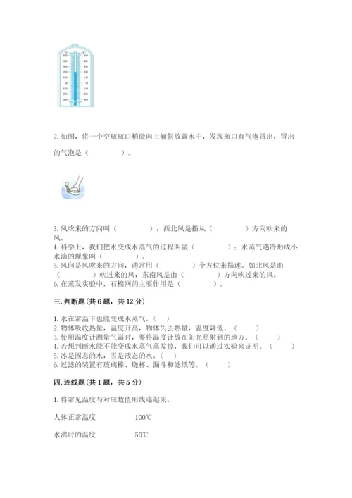 教科版三年级上册科学期末测试卷精品【模拟题】.docx