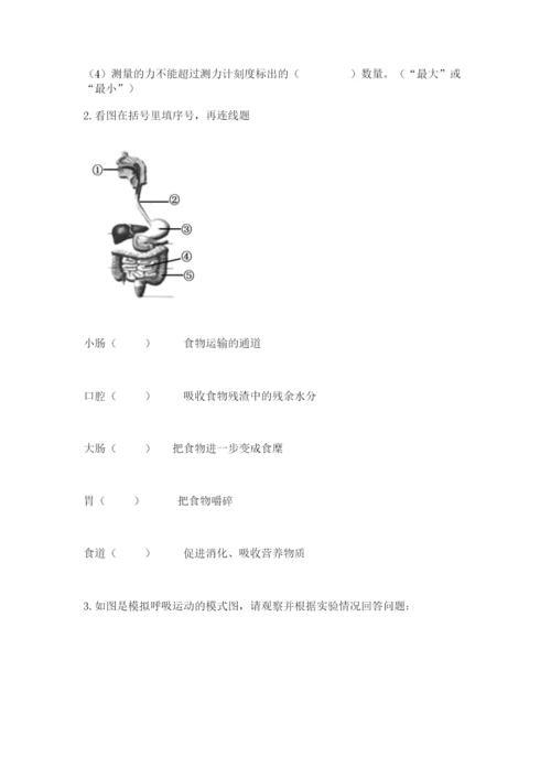 教科版四年级上册科学期末测试卷（实用）word版.docx