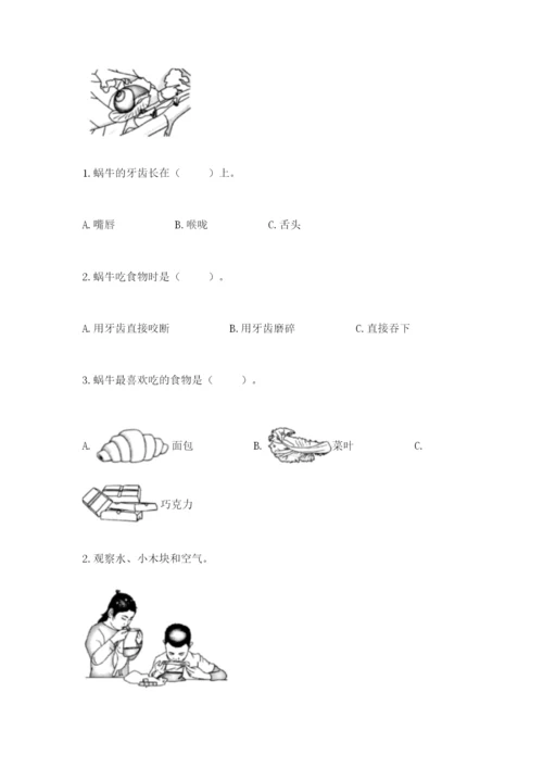 教科版一年级下册科学期末测试卷含完整答案（夺冠）.docx