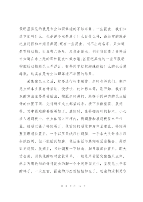 数学教师见习体会600字经典10篇.docx