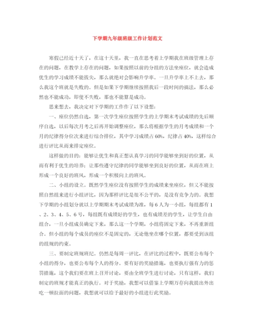 精编之下学期九年级班级工作计划范文.docx