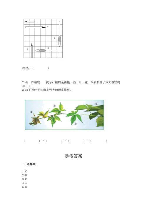 教科版小学一年级上册科学期末测试卷带答案（b卷）.docx