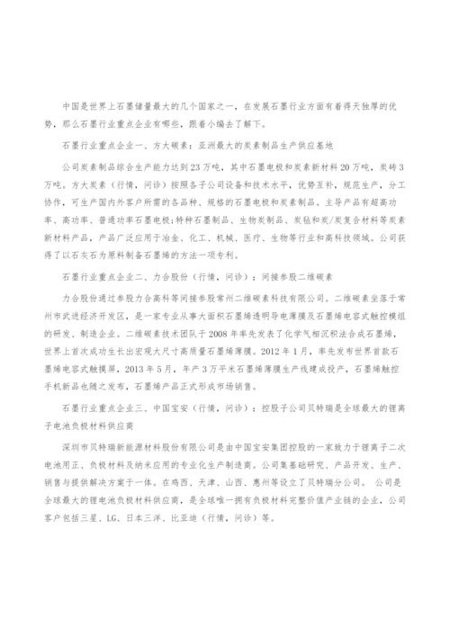 石墨行业重点企业-产业报告.docx