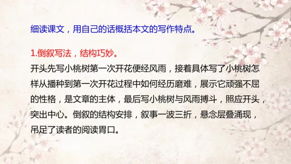 第19课 一棵小桃树 课件(共24张PPT)
