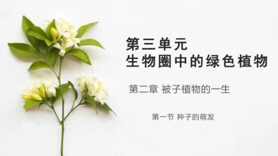 3.2.1 种子的萌发-2023-2024学年七年级生物上册优质课件（人教版）(共28张PPT)