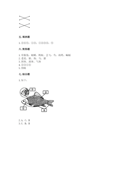 教科版小学科学一年级下册期末测试卷及参考答案【轻巧夺冠】.docx