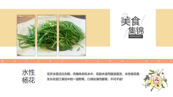 文旅项目丽江旅游宣传景点通用PPT模板