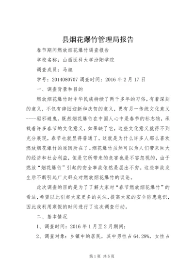 县烟花爆竹管理局报告 (5).docx