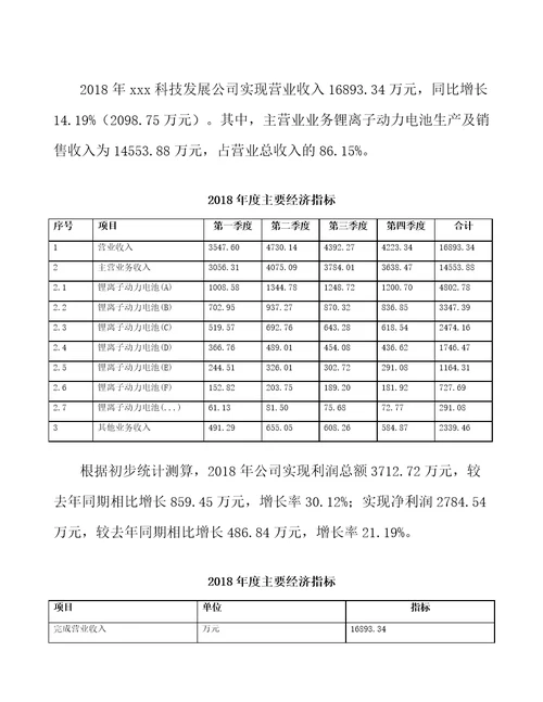 山东锂离子动力电池生产项目总结报告