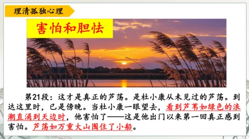 第17课《孤独之旅》课件