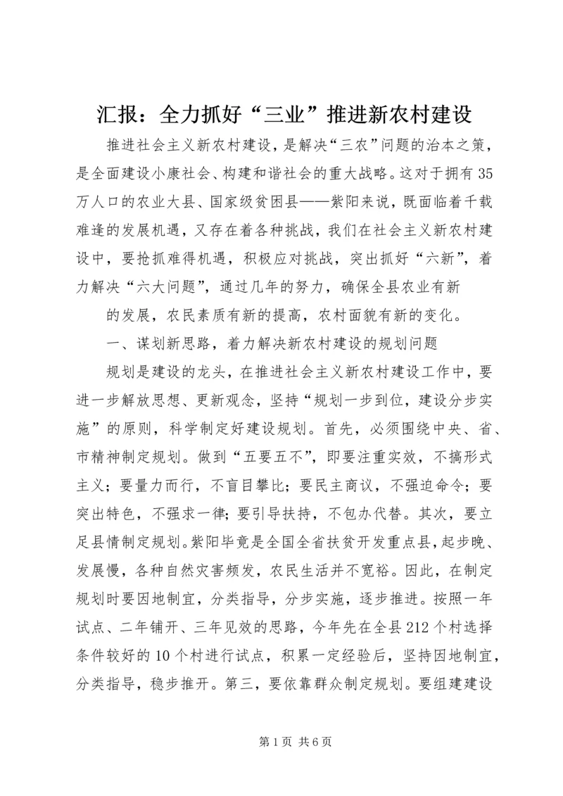 汇报:全力抓好“三业”推进新农村建设 (5).docx