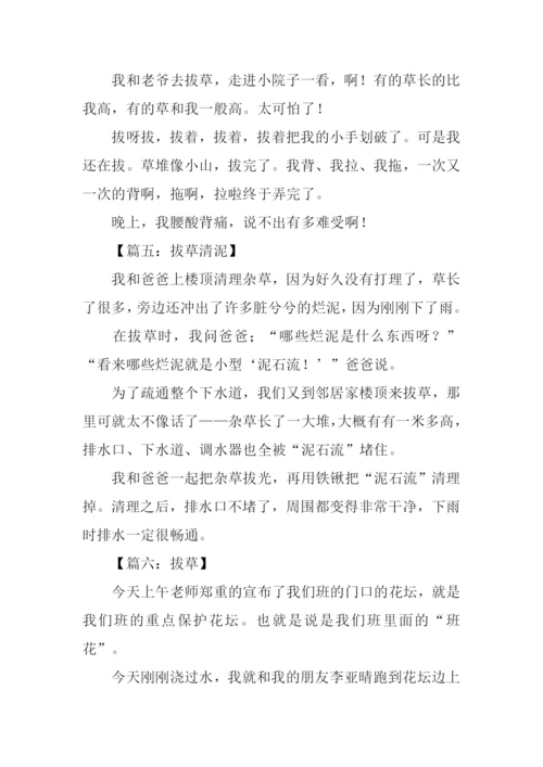 拔草作文200字0.docx