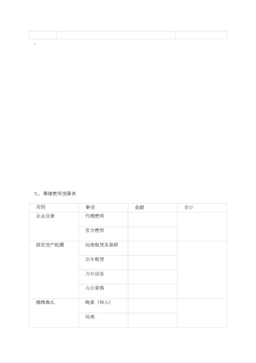 公司筹建方案.docx