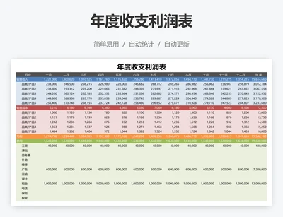 年度收支利润表