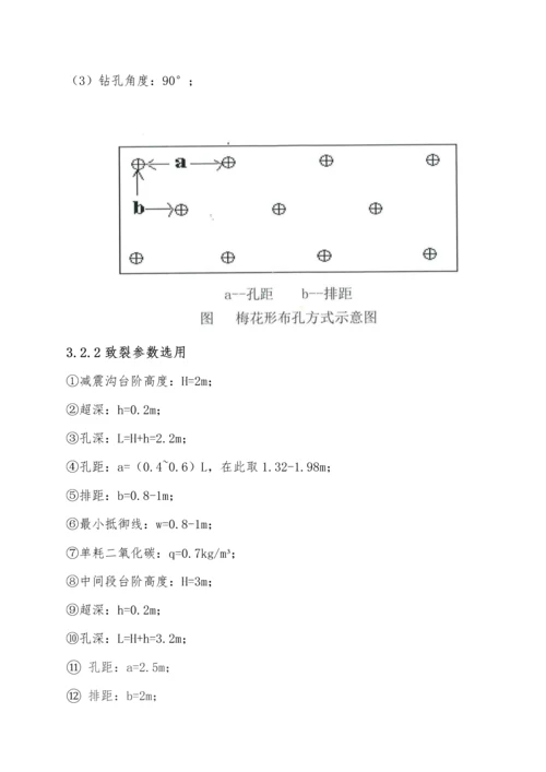 二氧化碳爆破重点技术及综合施工组织设计专题方案.docx