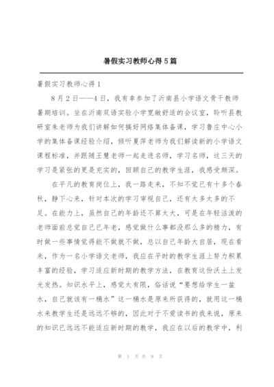 暑假实习教师心得5篇.docx