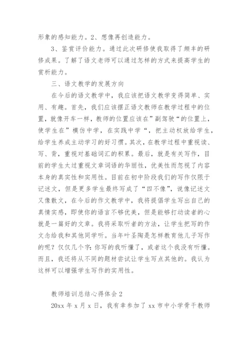 教师培训总结心得体会.docx