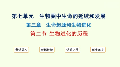 7.3.2生物进化的历程-八年级生物人教版下学期同步精品课件(共34张PPT)