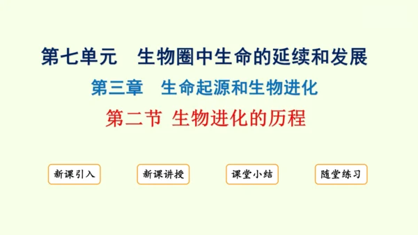 7.3.2生物进化的历程-八年级生物人教版下学期同步精品课件(共34张PPT)