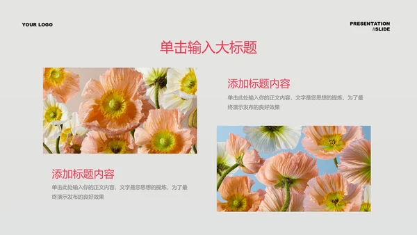 粉绿色清新风总结汇报PPT演示模板