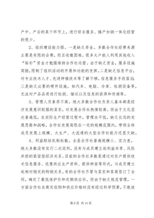 县蔬菜专业合作社调研报告.docx