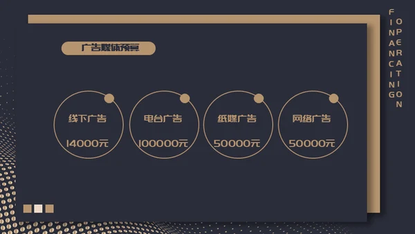 高端质感大气项目融资计划通用PPT模板